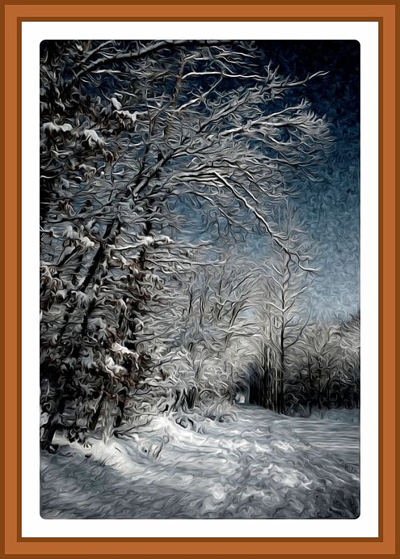 Arbres enneiges-border.jpg